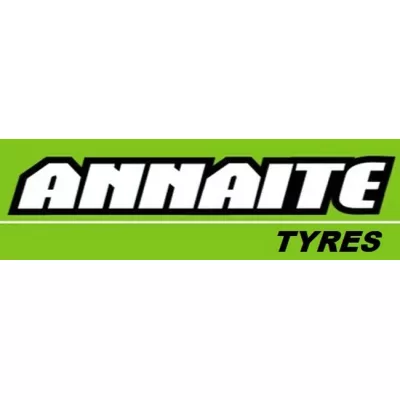 Шины Annaite